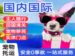 潮汕航空快运国际宠物托运 【国